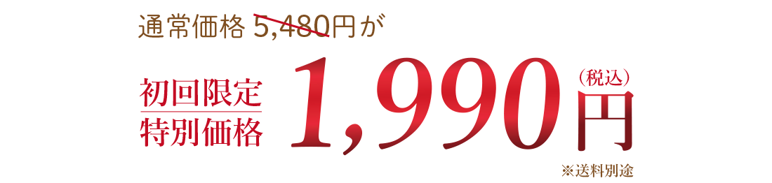 初回限定特別価格1990円（送料別途）