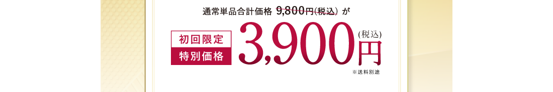 初回限定 特別価格 3,900円(税込)