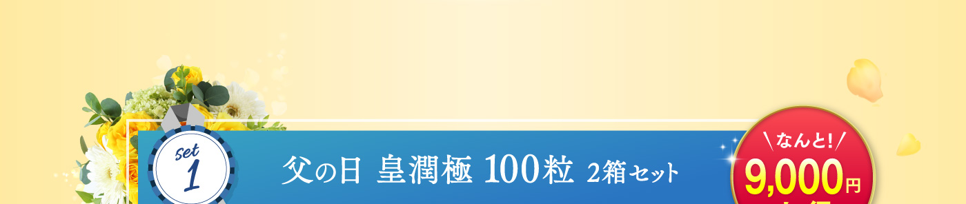 （1）父の日 皇潤極100粒 2箱セット 9,000円お得