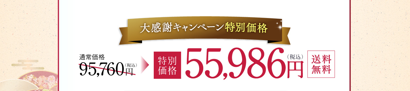 大感謝キャンペーン特別価格 55,986円（税込）送料無料
