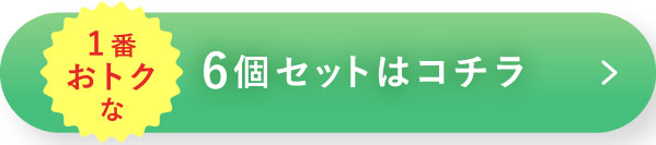 1番おトクな6個セットはコチラ