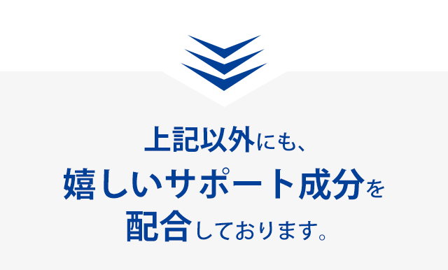 上記以外にも、嬉しいサポート成分を配合しております。