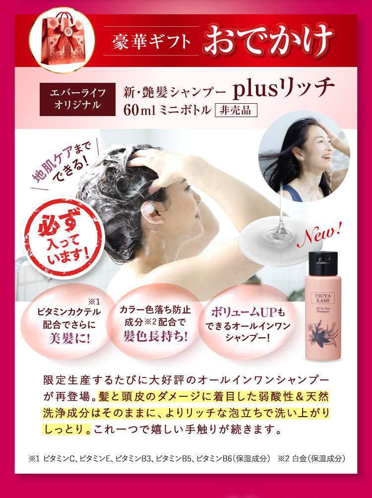 豪華ギフト＜おでかけ＞必ず入っています!新・艶髪シャンプーplusリッチ