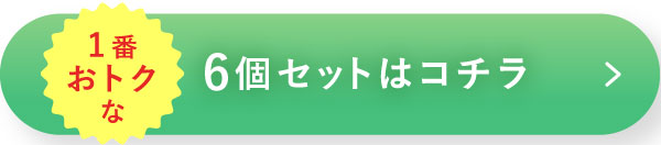 1番おトクな6個セットはコチラ