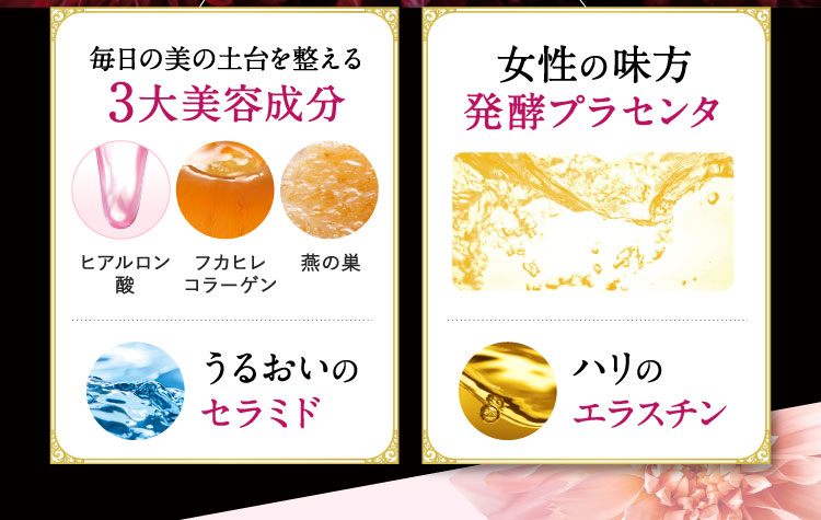 3大美容成分 セラミド 発酵プラセンタ エラスチン