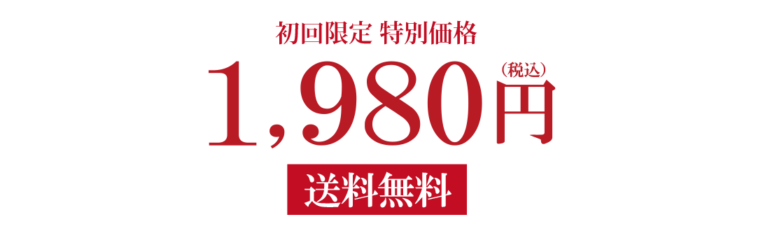 初回限定特別価格1980円送料無料