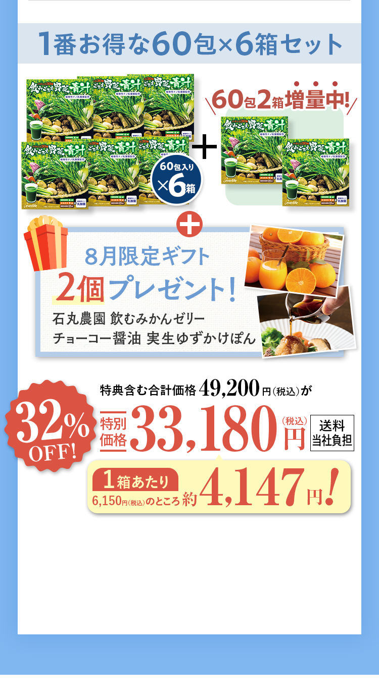 1番お得な60包×6箱セット