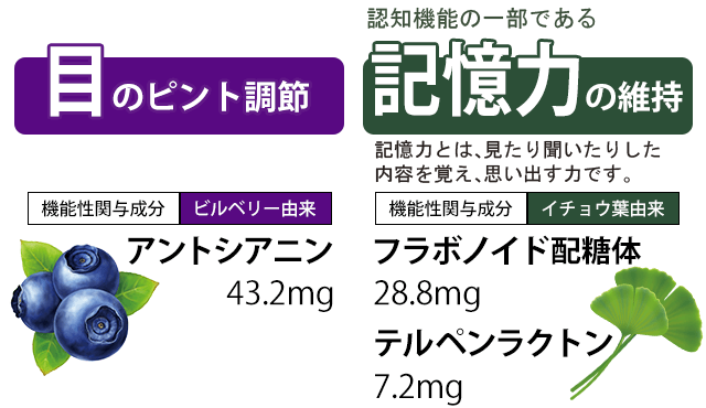 【目のピント調節】［機能性関与成分：ビルベリー由来］アントシアニン 43.2mg【記憶力の維持】［機能性関与成分：イチョウ葉由来］フラボノイド配糖体 28.8mg、テルペンラクトン 7.2mg