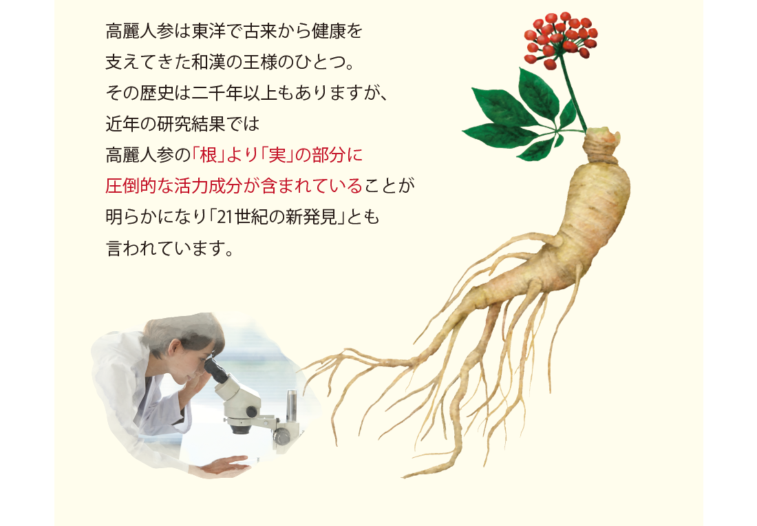 高麗人参は東洋で古来から健康を支えてきた和漢の王様のひとつ。