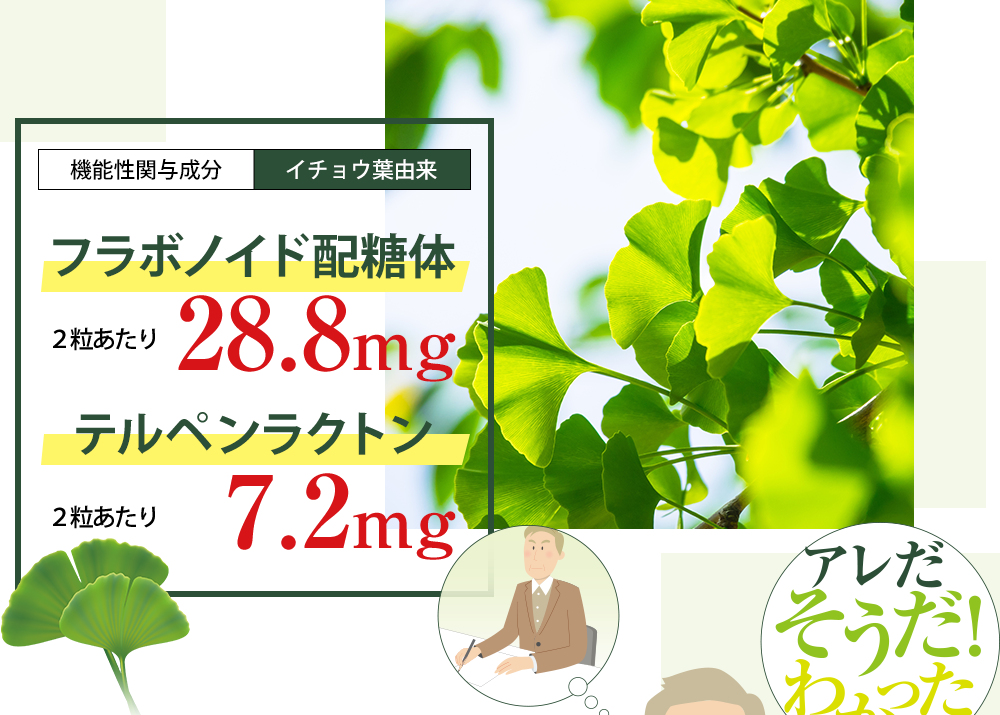 ［機能性関与成分：イチョウ葉由来］フラボノイド配糖体 2粒あたり 28.8mg、テルペンラクトン 2粒あたり 7.2mg