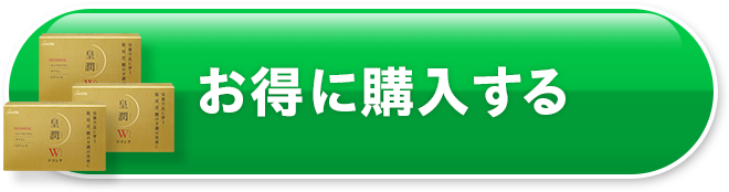 お得に購入する