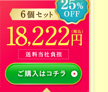 25%OFF6個セット18,222円(税込)送料当社負担 ご購入はコチラ