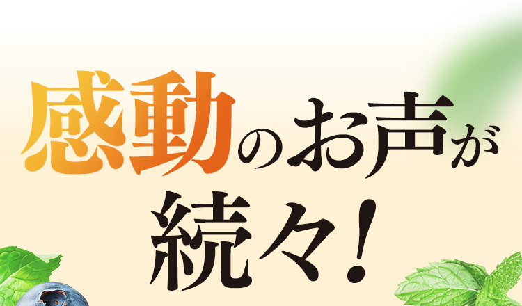 感動のお声が続々!