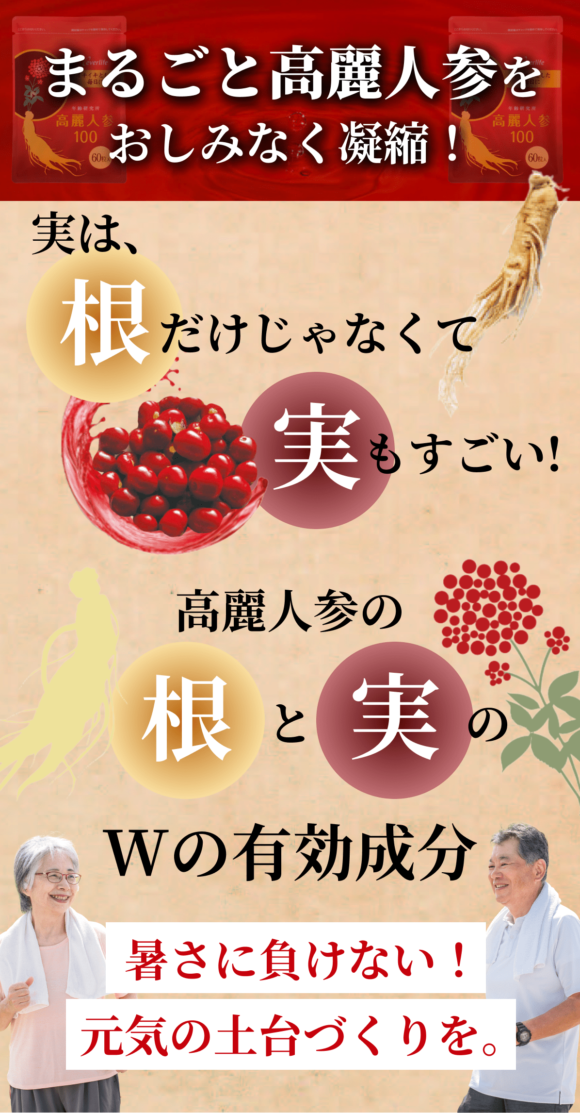まるごと高麗人参をおしみなく凝縮！ まるごと高麗人参をおしみなく凝縮！ 高麗人参の根と実のWの有効成分 暑さに負けない！元気の土台づくりを。