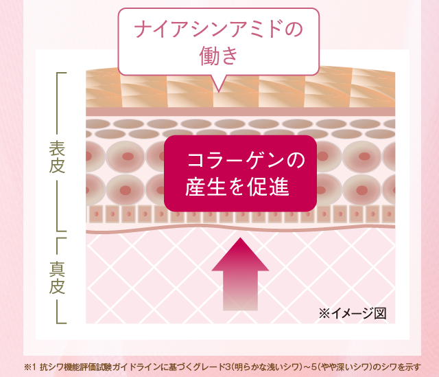 ナイアシンアミドの働き　イメージ図　※1：抗シワ機能評価試験ガイドラインに基づくグレード3（明らかな浅いシワ）～グレード5（やや深いシワ）のシワを示す
