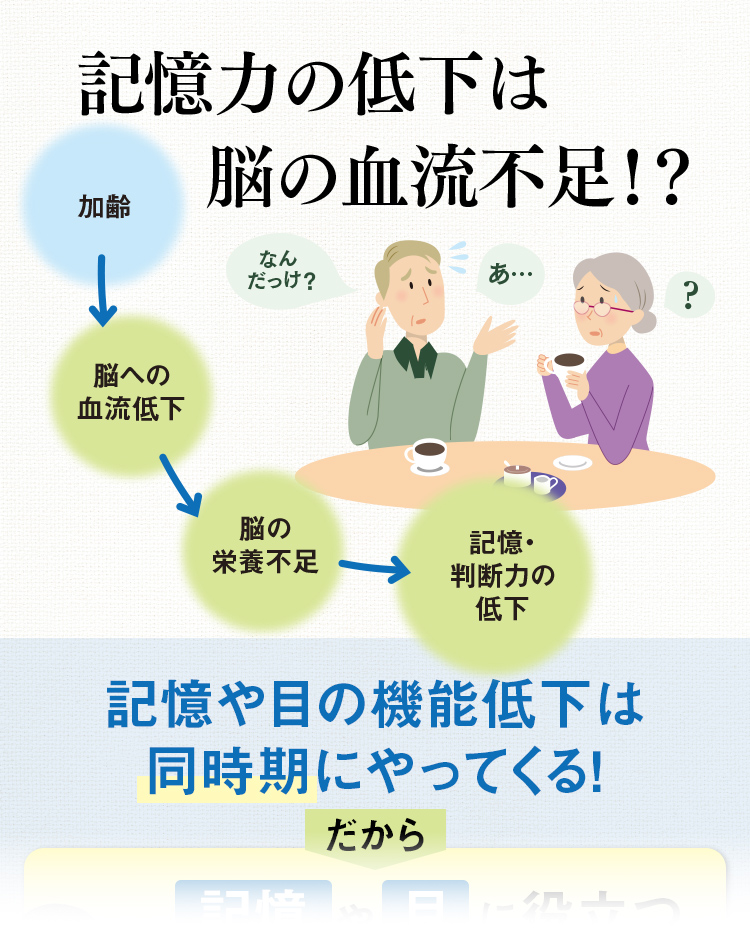 記憶力の低下は脳の血流不足!?