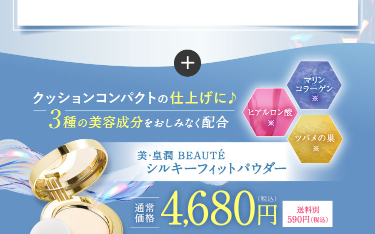 クッションコンパクトの仕上げに!単品 通常価格4,680円（税込）送料別590円（税込）