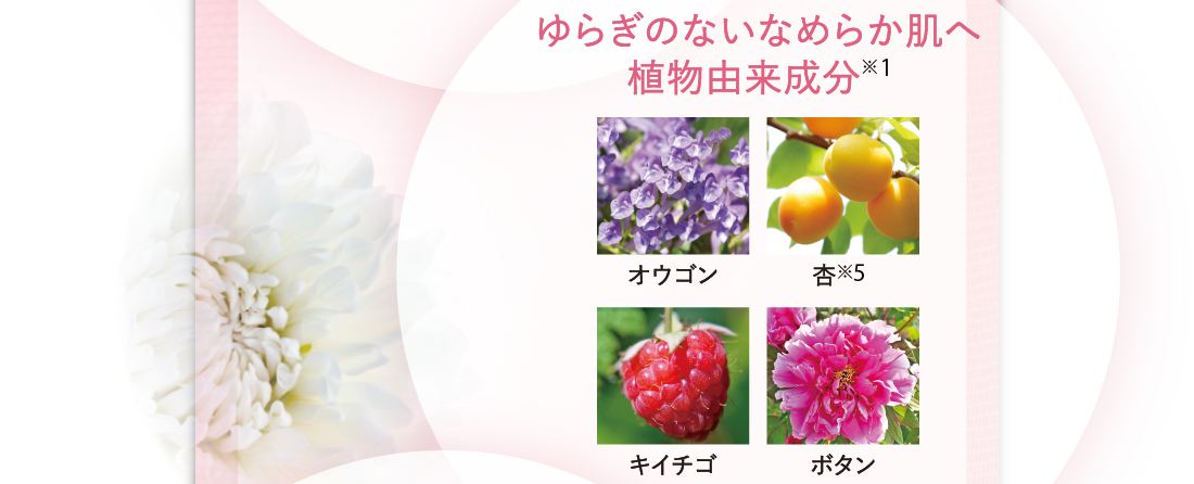ゆらぎのないなめらか肌へ　植物由来成分※1　オウゴン　杏※5　キイチゴ　ボタン