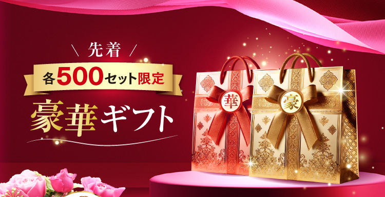 先着各500セット限定 豪華ギフト