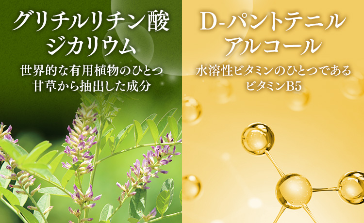 グリチルリチン酸ジカリウム 世界的な有用植物のひとつ甘草から抽出した成分　D-パントテニルアルコール 水溶性ビタミンのひとつであるビタミンB5