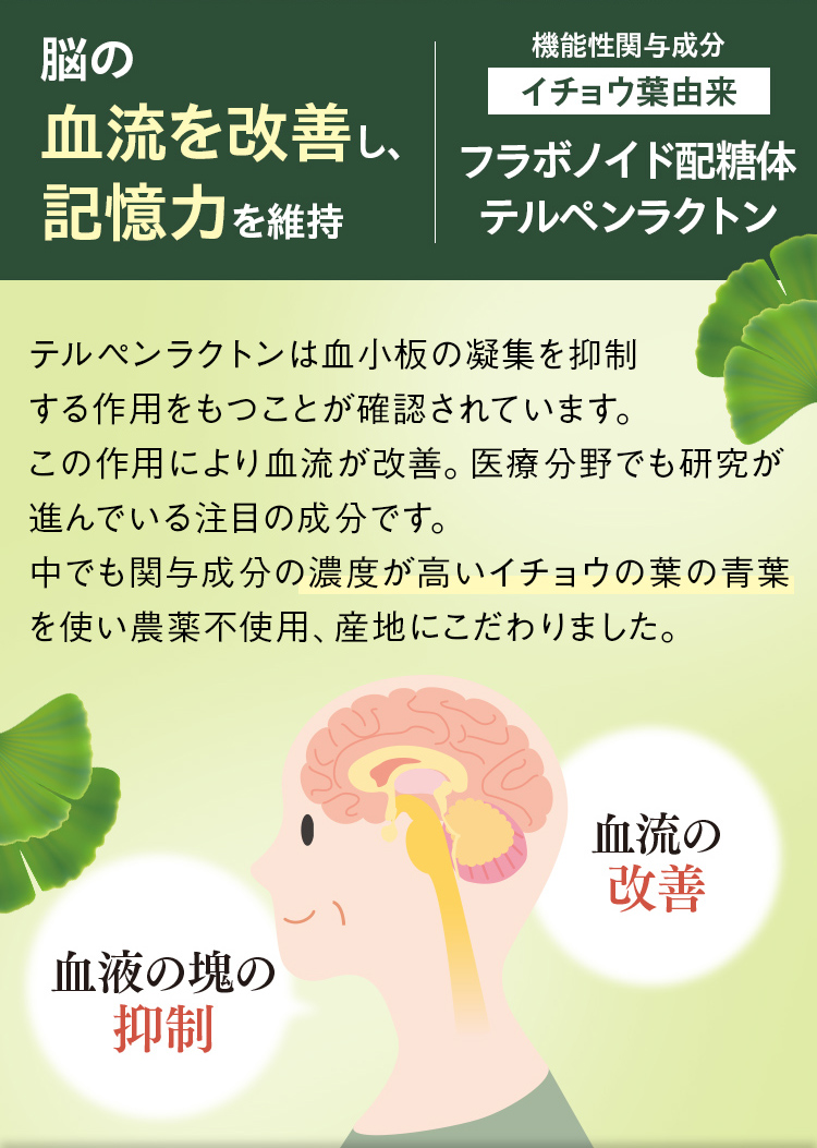 脳の血流を改善し、記憶力を維持