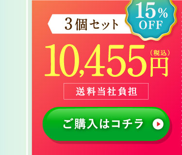 15%OFF3個セット10,455円(税込)送料当社負担 ご購入はコチラ