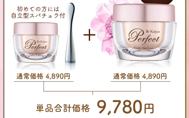 通常価格4,890円×2個　単品合計価格9,780円が