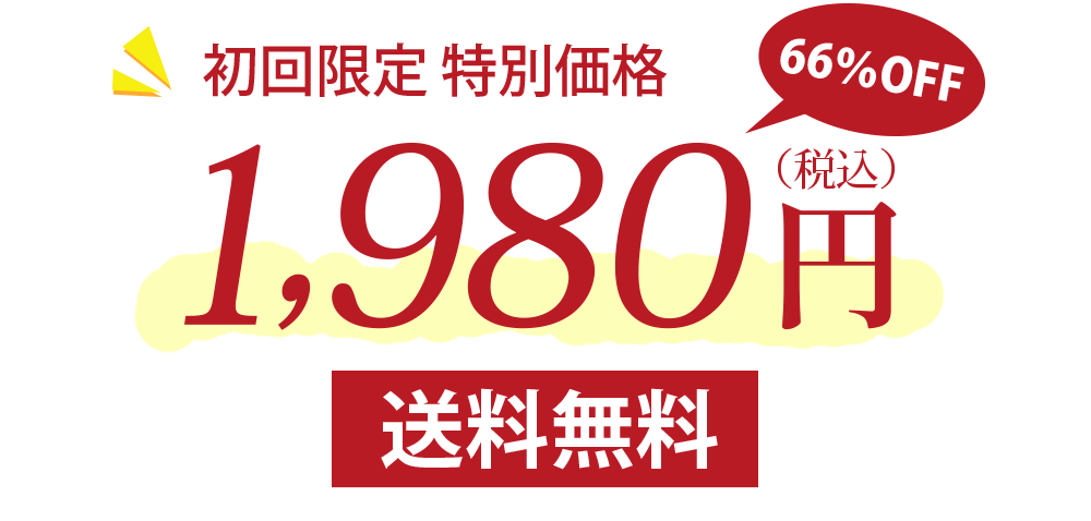 初回限定1980円送料無料