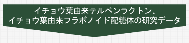 記憶力の測定結果