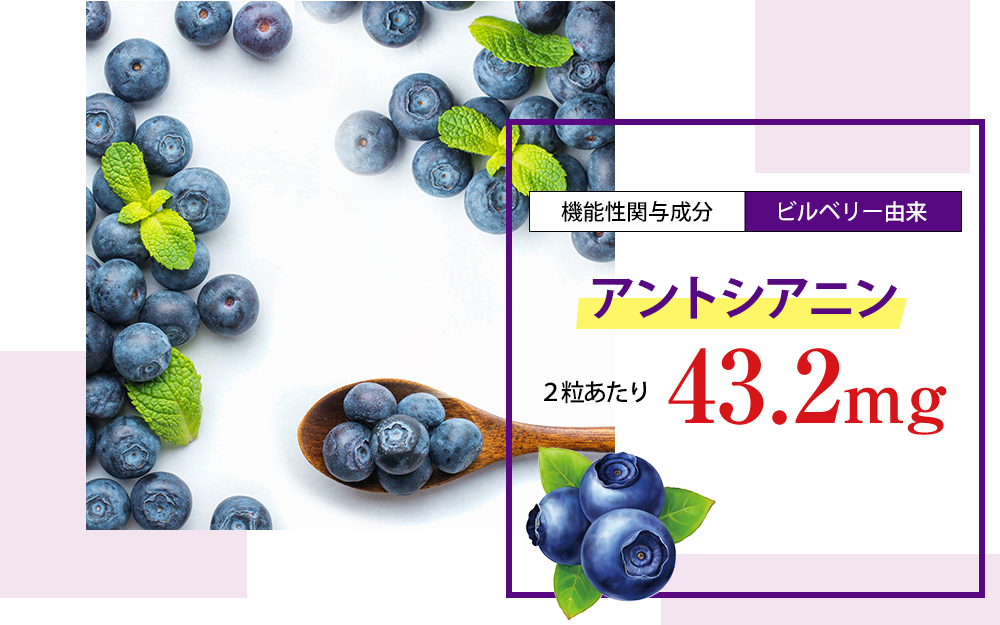 ［機能性関与成分：ビルベリー由来］アントシアニン 2粒あたり 43.2mg