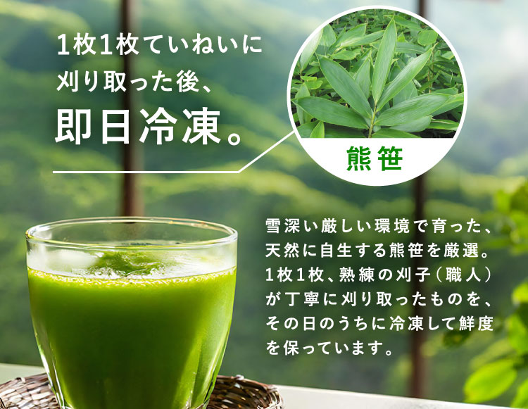 熊笹を1枚1枚ていねいに刈り取った後、即日冷凍。