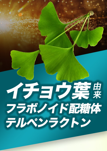 イチョウ葉由来 フラボノイド配糖体テルペンラクトン