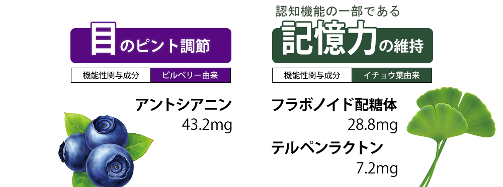 【目のピント調節】［機能性関与成分：ビルベリー由来］アントシアニン 43.2mg【記憶力の維持】［機能性関与成分：イチョウ葉由来］フラボノイド配糖体 28.8mg、テルペンラクトン 7.2mg