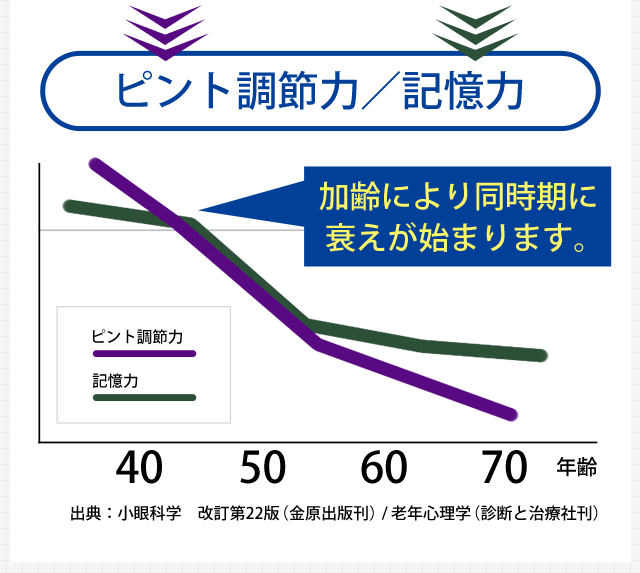 【グラフ：ピント調節力/記憶力】加齢により同時期に衰えが始まります。
