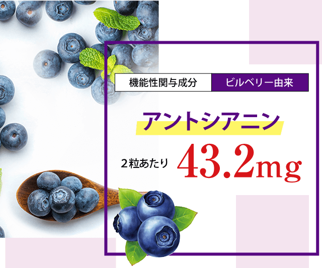 ［機能性関与成分：ビルベリー由来］アントシアニン 2粒あたり 43.2mg