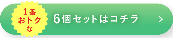 1番おトクな6個セットはコチラ