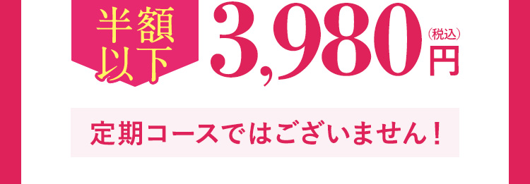 半額以下 3,980円(税込)