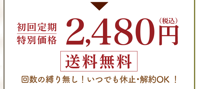 初回限定　特別価格　1,980円（税込）送料無料
