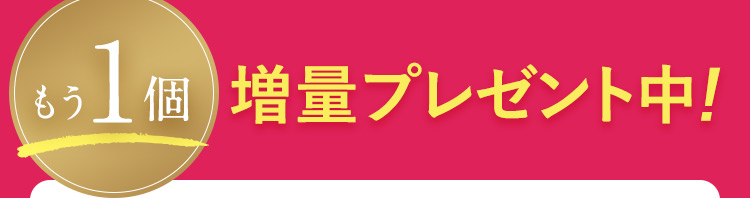 もう1個 増量プレゼント中！