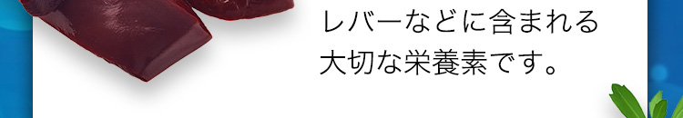 レバーなどに含まれる大切な栄養素です。