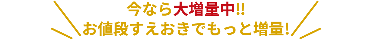 今なら大増量中‼︎ お値段すえおきでもっと増量!