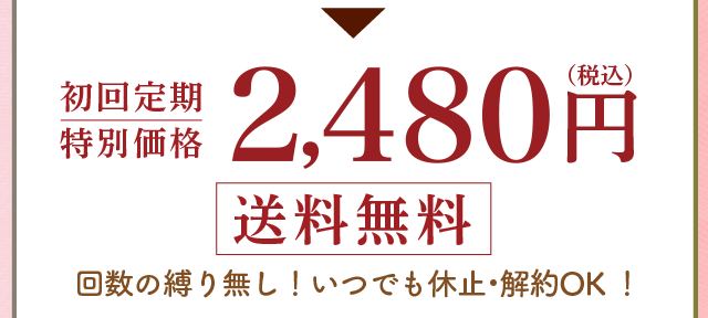 初回限定　特別価格　1,980円（税込）送料無料