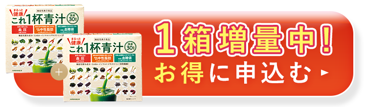 1箱増量中！お得に申込む