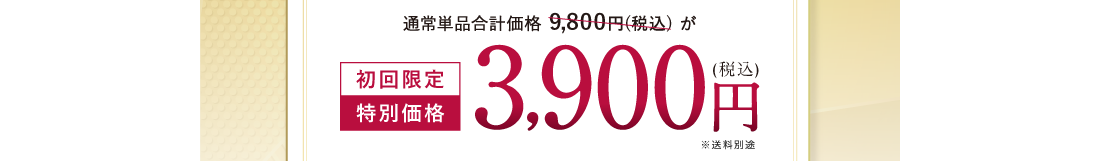 初回限定 特別価格 3,900円(税込)