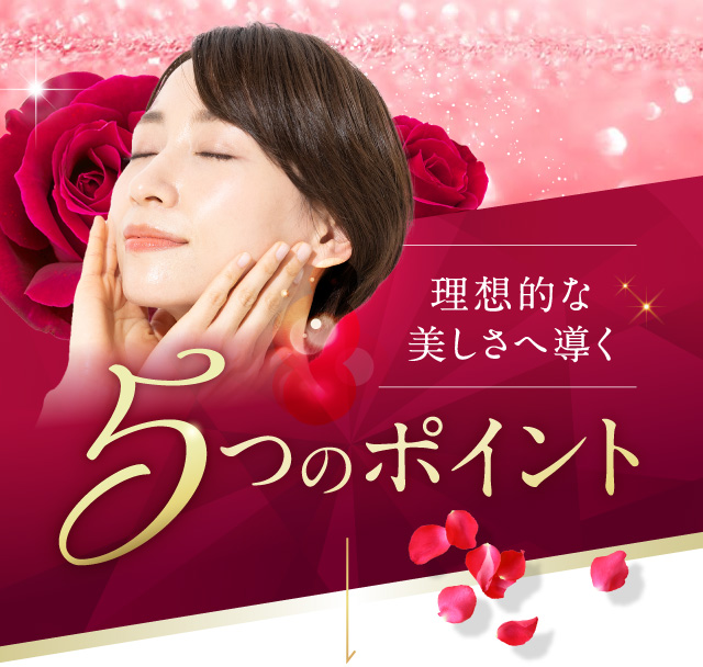 理想的な美しさへ導く5つのポイント