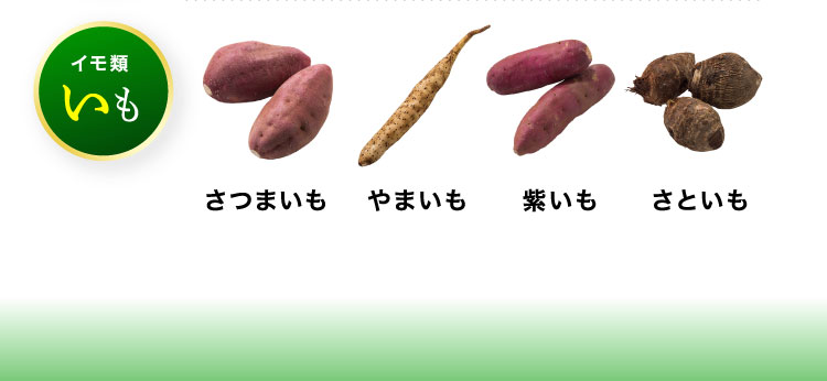いも さつまいも やまいも 紫いも さといも