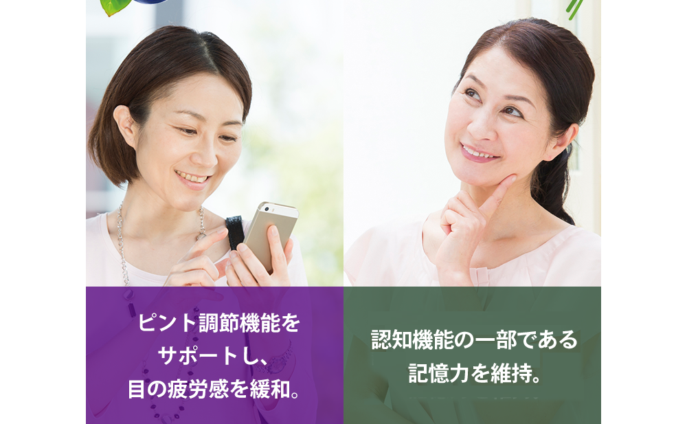 [ピント調節機能をサポートし、目の疲労感を緩和。][脳の血流を改善し、記憶力を維持。]