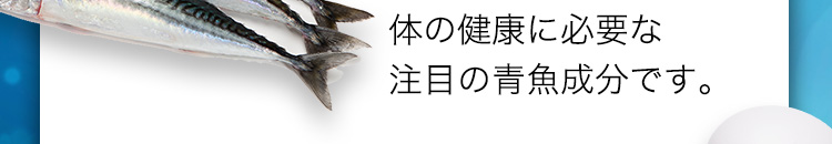 体の健康に必要な注目の青魚成分です。