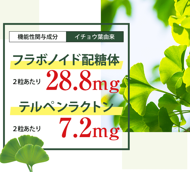 ［機能性関与成分：イチョウ葉由来］フラボノイド配糖体 2粒あたり 28.8mg、テルペンラクトン 2粒あたり 7.2mg