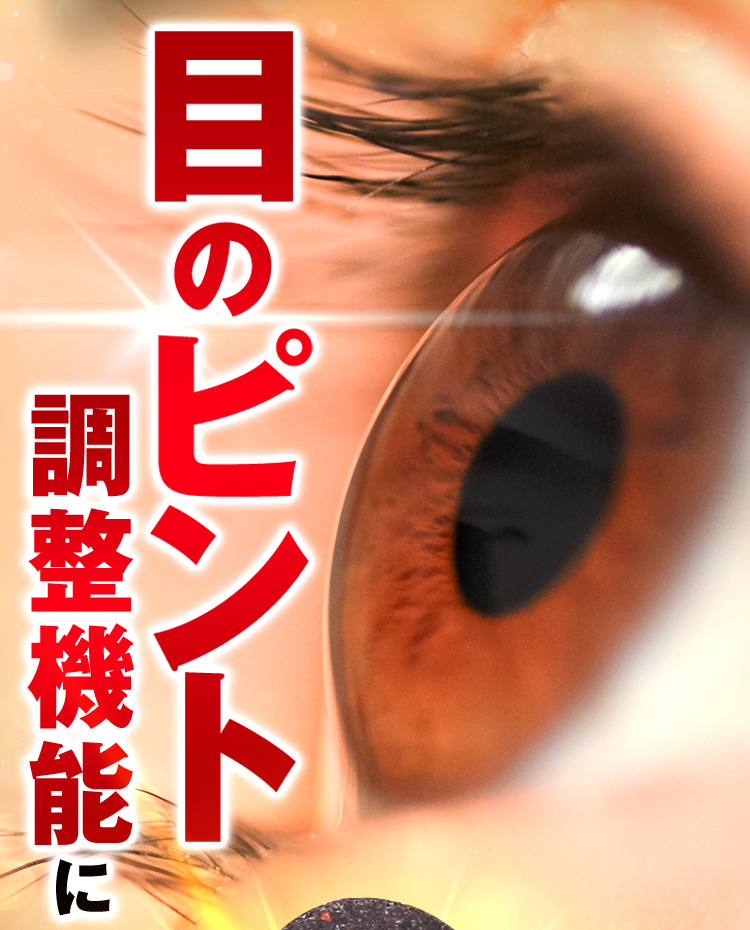 目のピント調整機能に